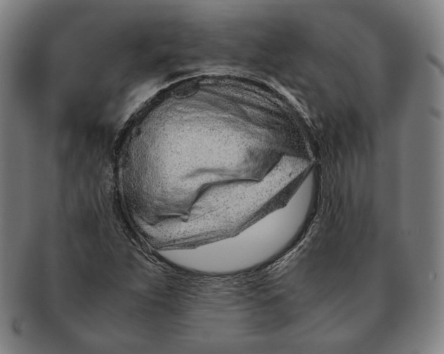 X0000090961263200708301154