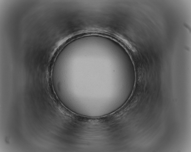 X0000090961264200708301154