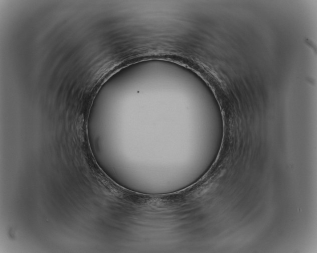 X0000090961265200708301154