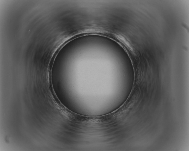 X0000090961268200708301154