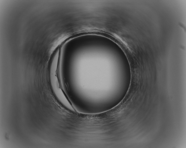 X0000090961269200708301154