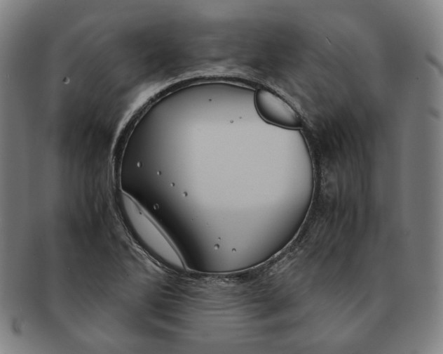 X0000090961270200708301154