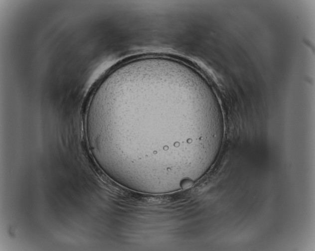 X0000090961271200708301154