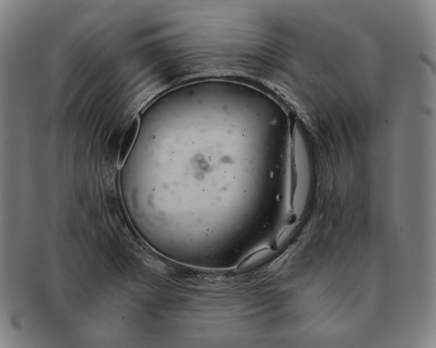 X0000090961273200708301154