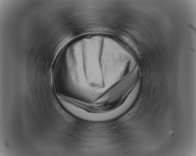 X0000090961275200708301154