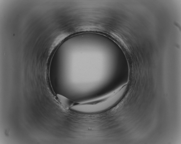 X0000090961277200708301154