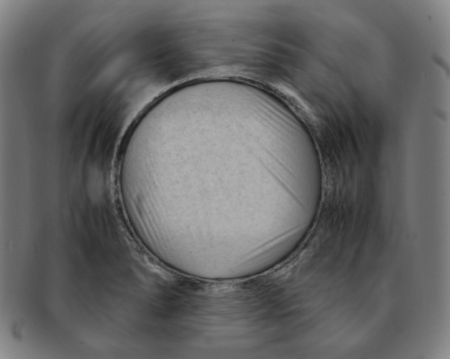 X0000090961278200708301154