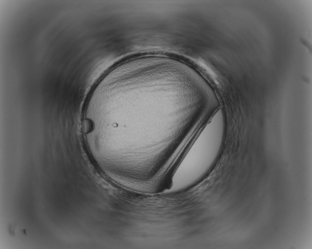 X0000090961279200708301154