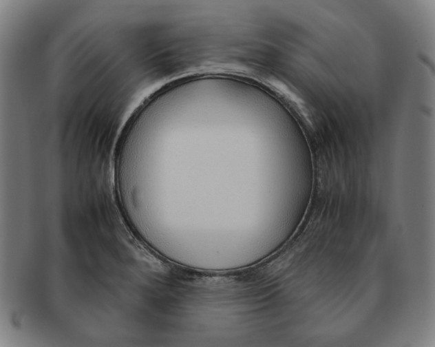 X0000090961280200708301154