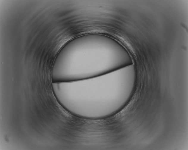 X0000090961281200708301154