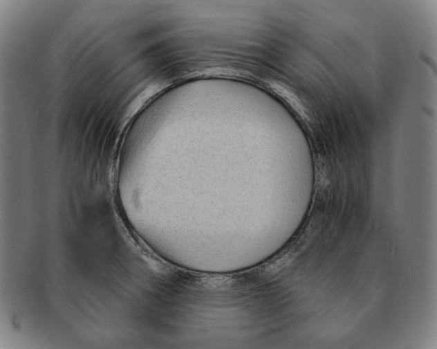 X0000090961282200708301154