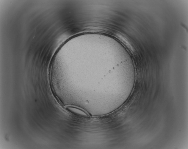 X0000090961283200708301154