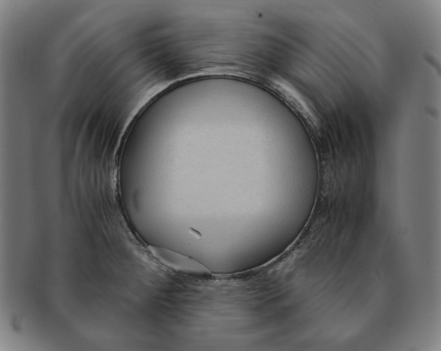 X0000090961284200708301154