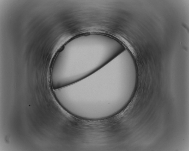 X0000090961285200708301154