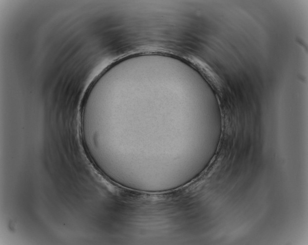 X0000090961286200708301154