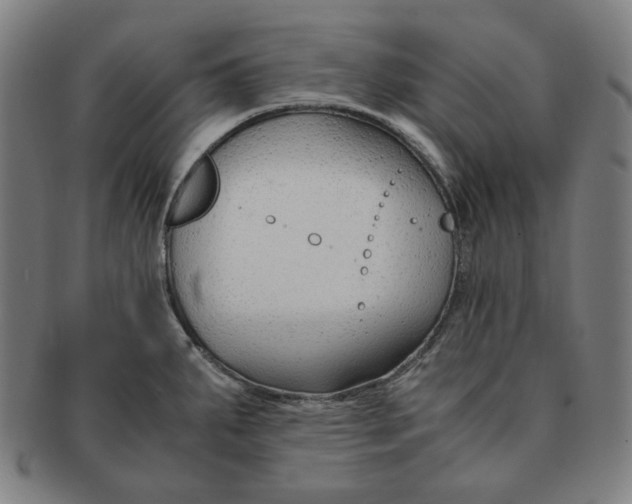 X0000090961287200708301154