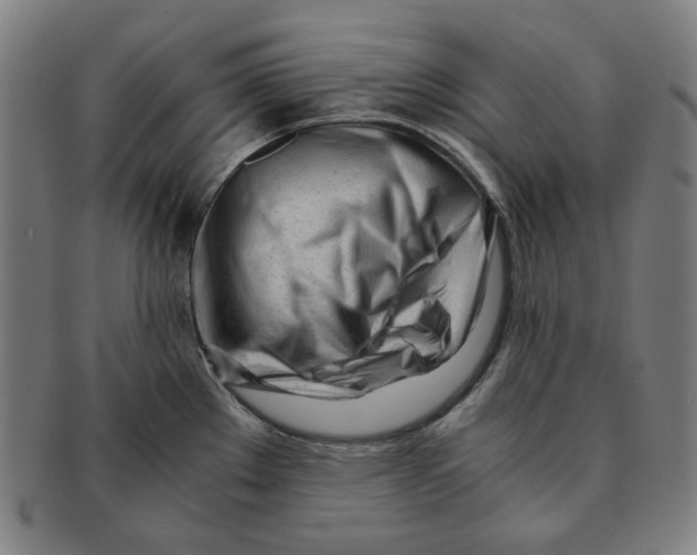 X0000090961289200708301154