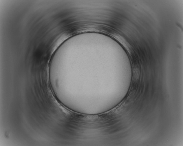 X0000090961290200708301154