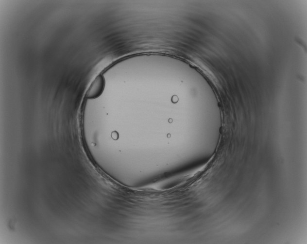 X0000090961291200708301154