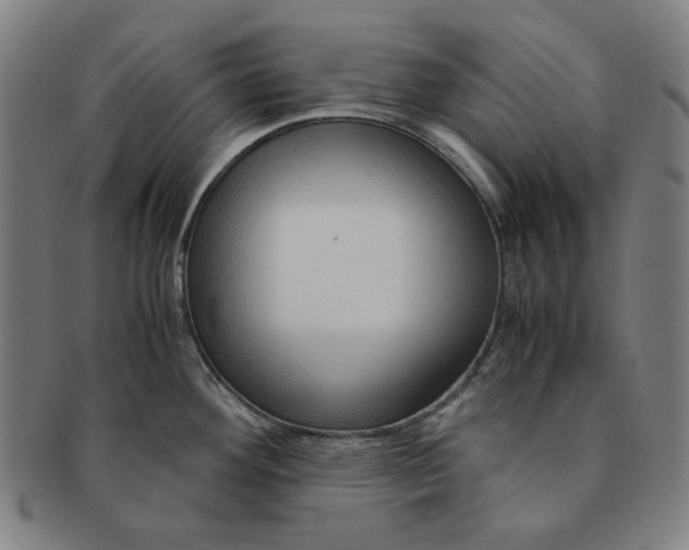 X0000090961292200708301154