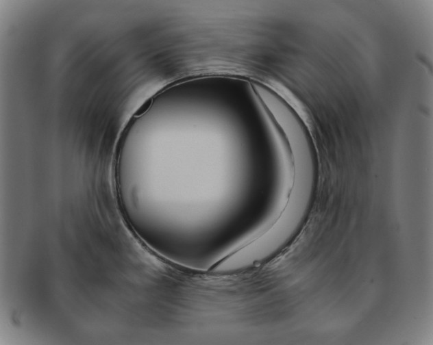 X0000090961293200708301154