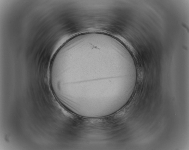 X0000090961294200708301154