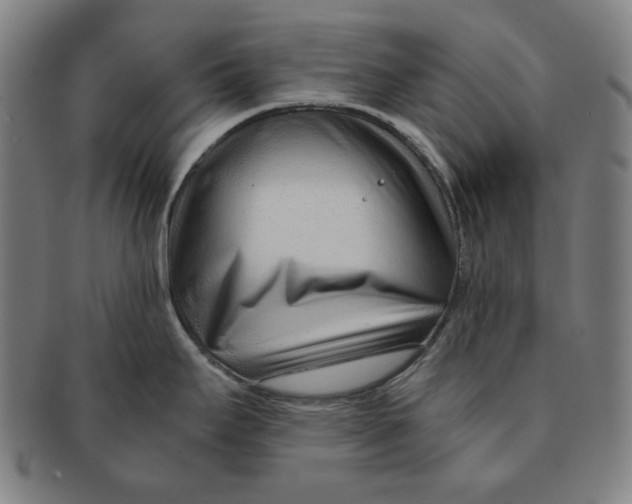 X0000090961295200708301154