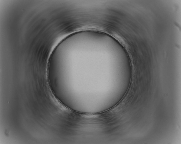 X0000090961296200708301154