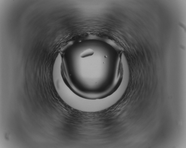 X0000090961298200708301153