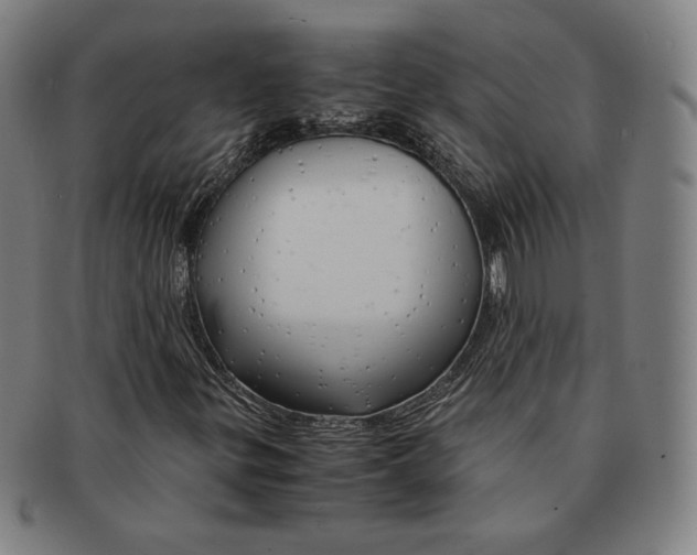 X0000090961299200708301153