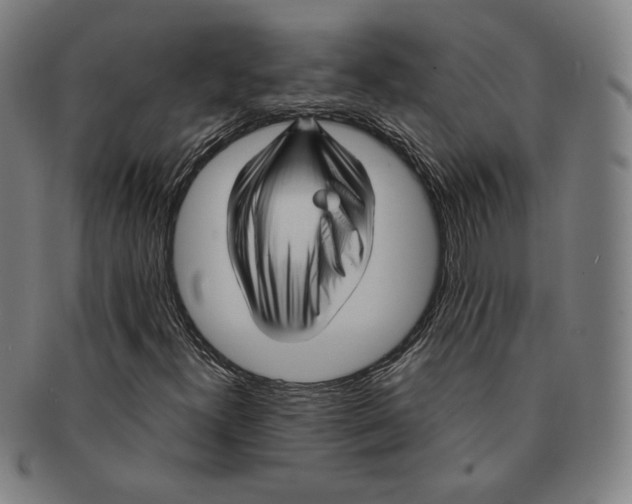 X0000090961300200708301153