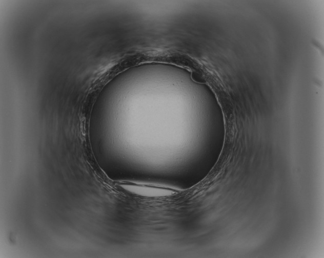 X0000090961301200708301153