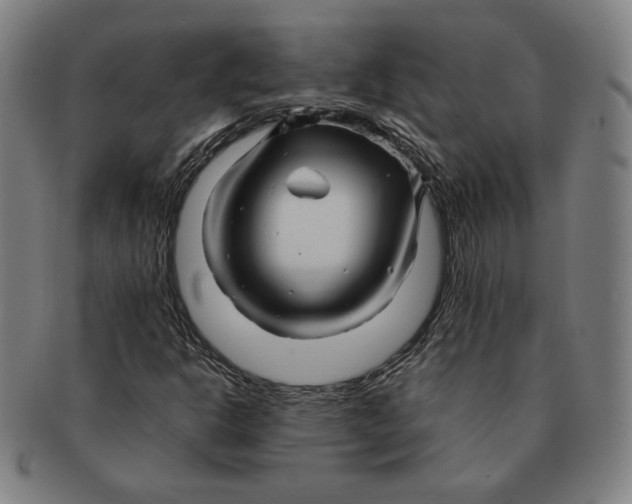 X0000090961302200708301153