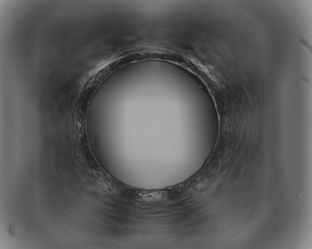 X0000090961303200708301153