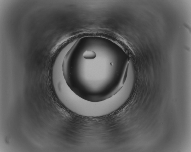 X0000090961304200708301153