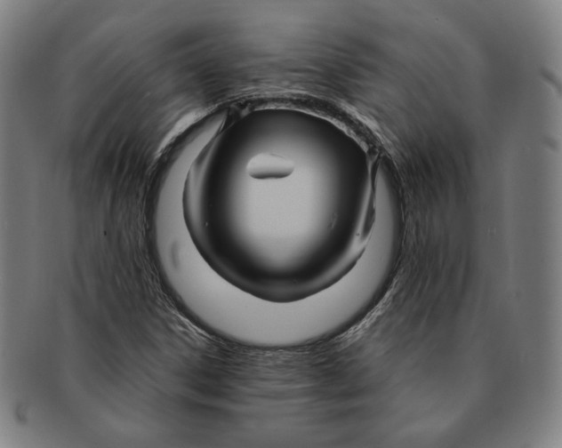 X0000090961306200708301153