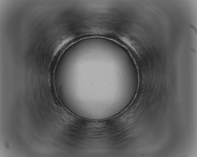 X0000090961307200708301153