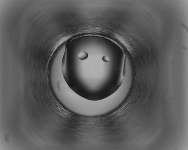 X0000090961308200708301153