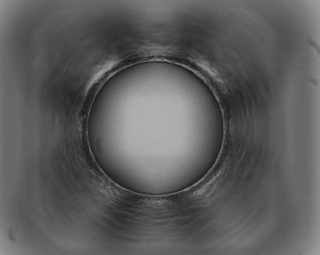 X0000090961309200708301153