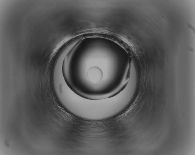 X0000090961310200708301153