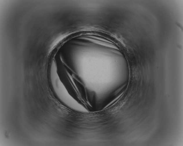 X0000090961311200708301153