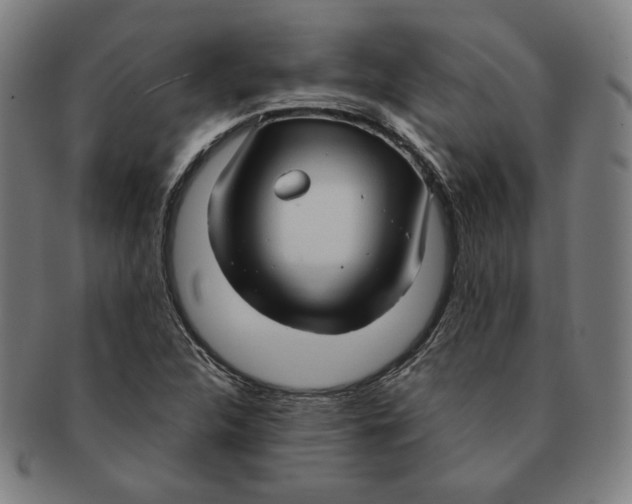 X0000090961312200708301153