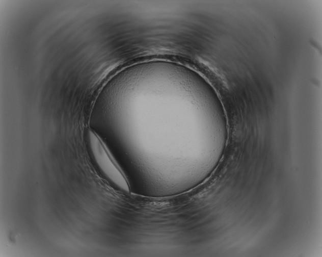 X0000090961313200708301153