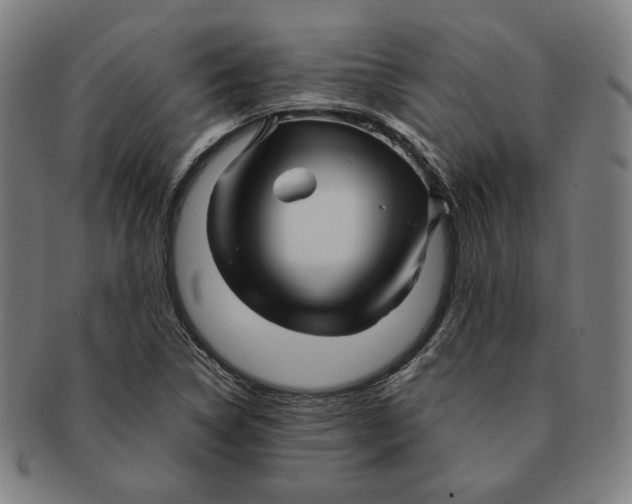 X0000090961314200708301153