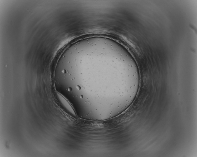 X0000090961315200708301153