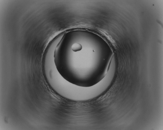 X0000090961316200708301153