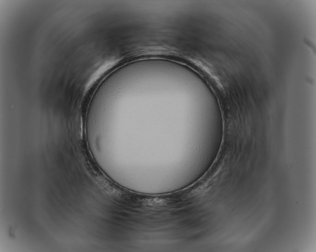 X0000090961317200708301153