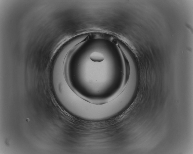 X0000090961318200708301154