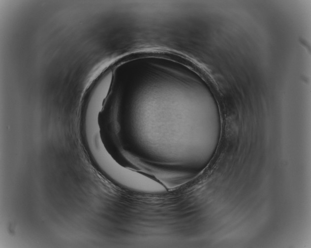 X0000090961319200708301154