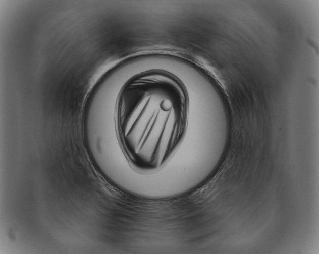 X0000090961320200708301154